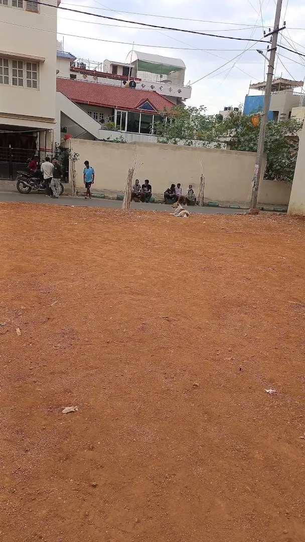 Area 78 — Cricket in JP Nagar