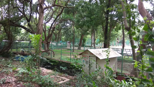 NCC ground