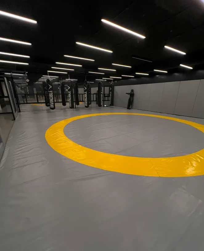 Mix Martial Arts (The Track MMA) — Martial Arts in Sector 57