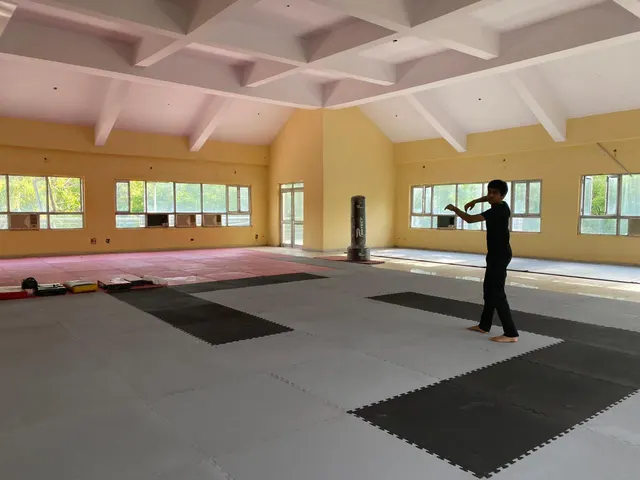 Taekwondo for 3-6 years old kids in vasant kunj — Martial Arts in Rajokri