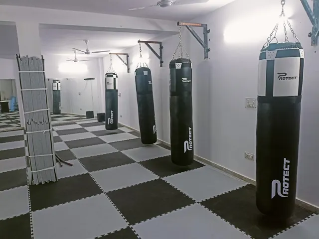 Tigers den MMA academy — Martial Arts in Tri Nagar