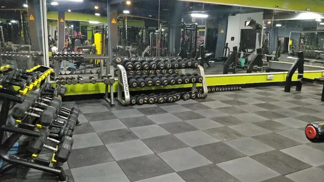 The Anabolic Gym