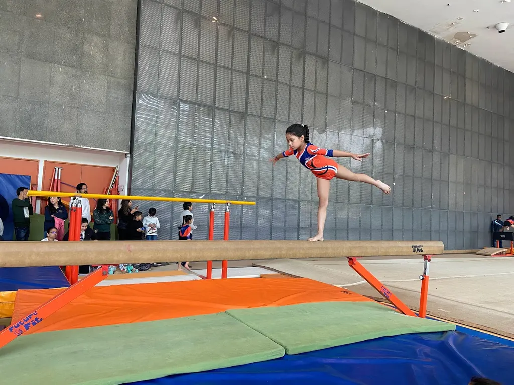 Future Fit Gymnastics Academy — Gymnastics in Hauz Khas