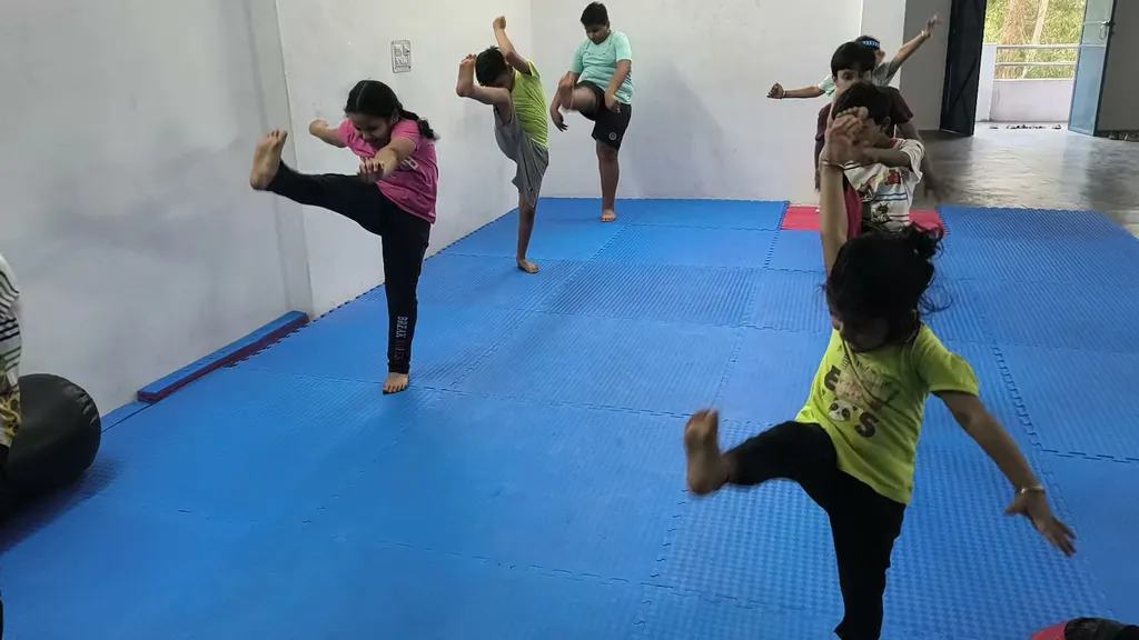 Yudhshala - The Ultimate Fight Club — Martial Arts in Rohini