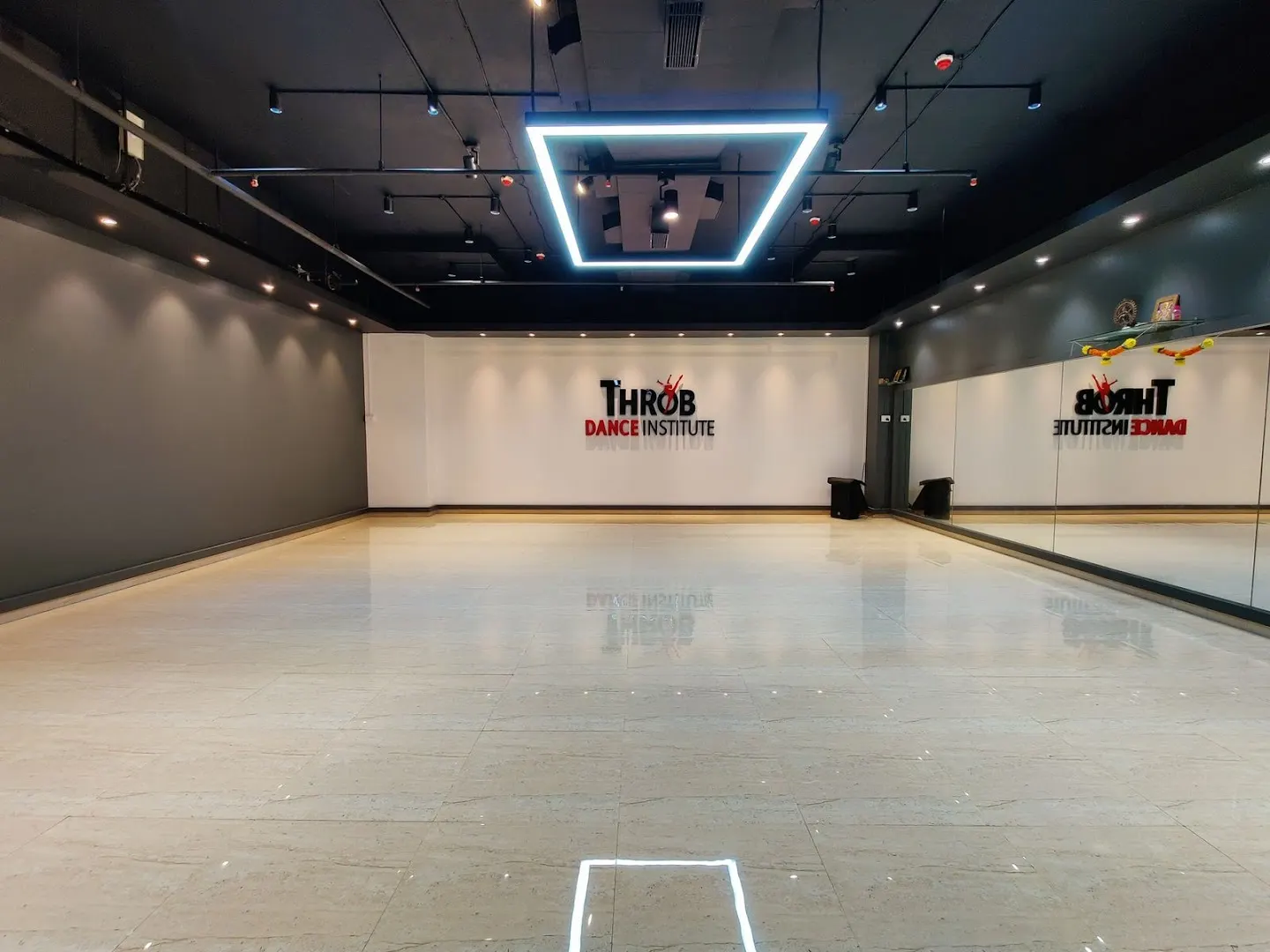 Throb Dance Institute photo 1