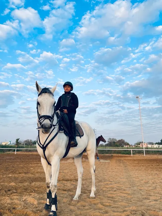 H&Y Equestrian Academy — Horse Riding in Sector 64