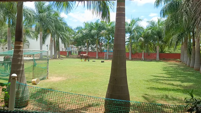 Fortune Tennis Academy — Tennis in Kengeri
