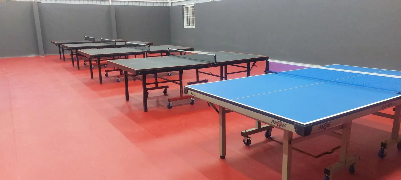 PONG TRIBE Table Tennis Academy photo 1