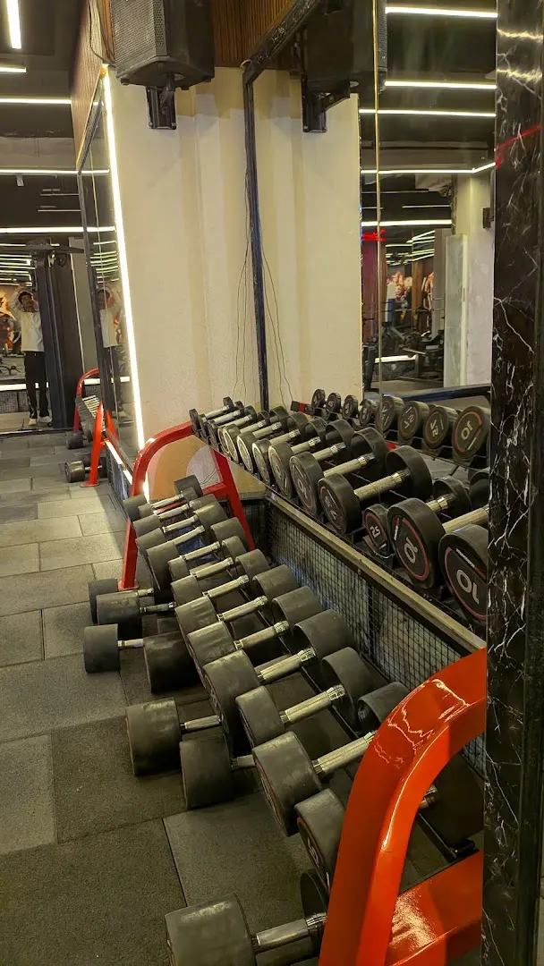 Muscle headquarter