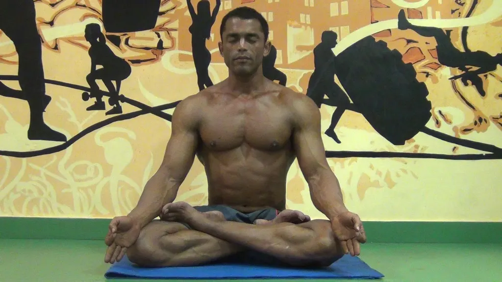 Fitnesssmith Cert Personal Trainer at Home — Yoga in Matunga West