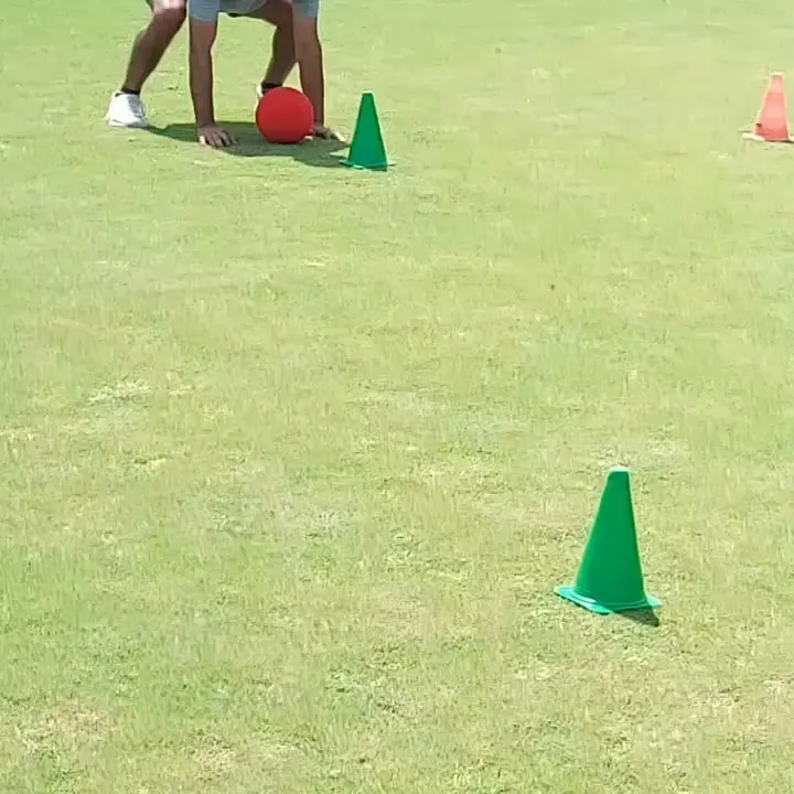 R.S. Cricket Academy & Foundation — Cricket in Sector 95