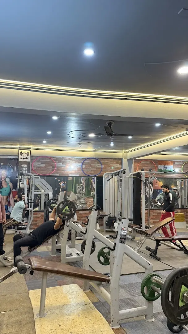All Fitness Gym photo 1