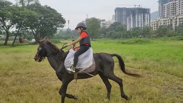 Yeoor Hills Equestrian Centre — Horse Riding in Thane West