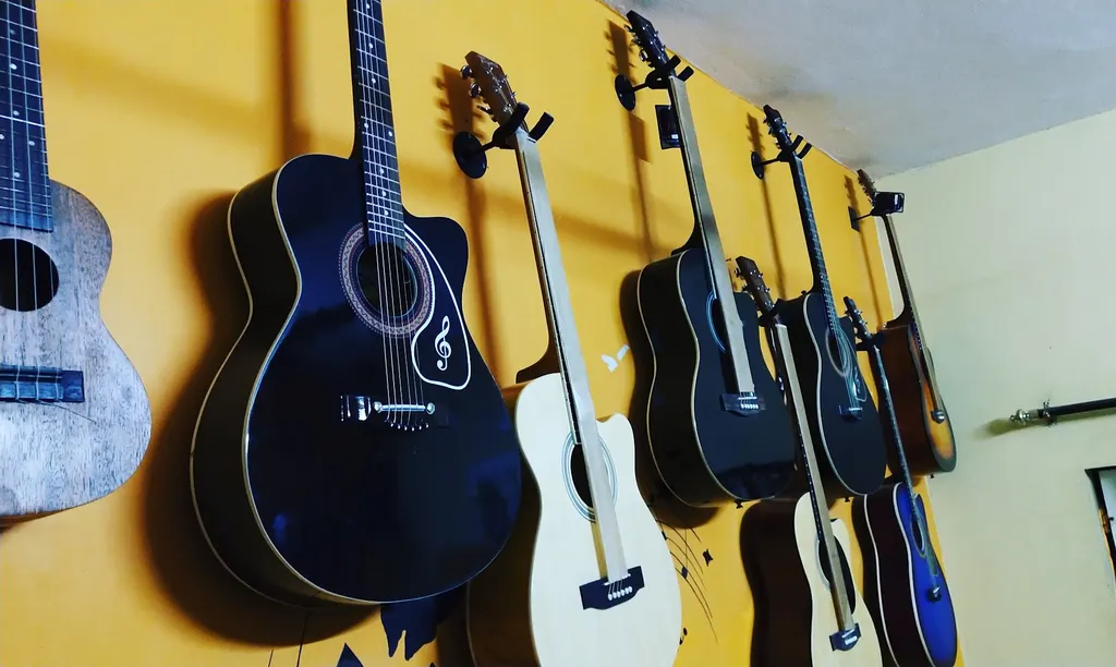 Rhythm Musical &Guitar Class — Music in Raj Nagar Extension