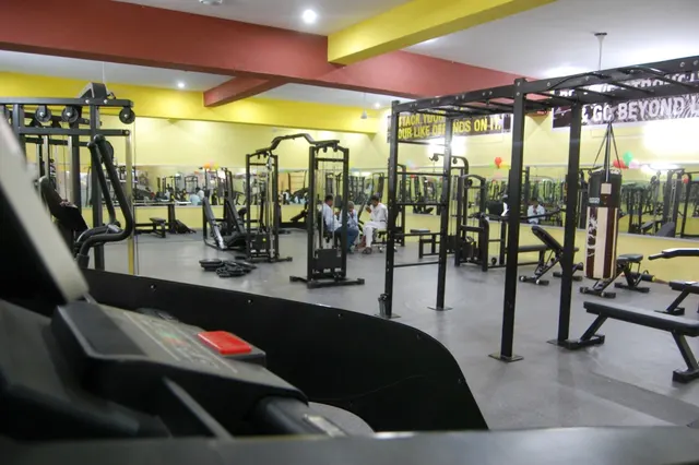 The Workout Zone