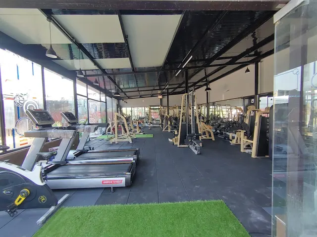 Sam well gym
