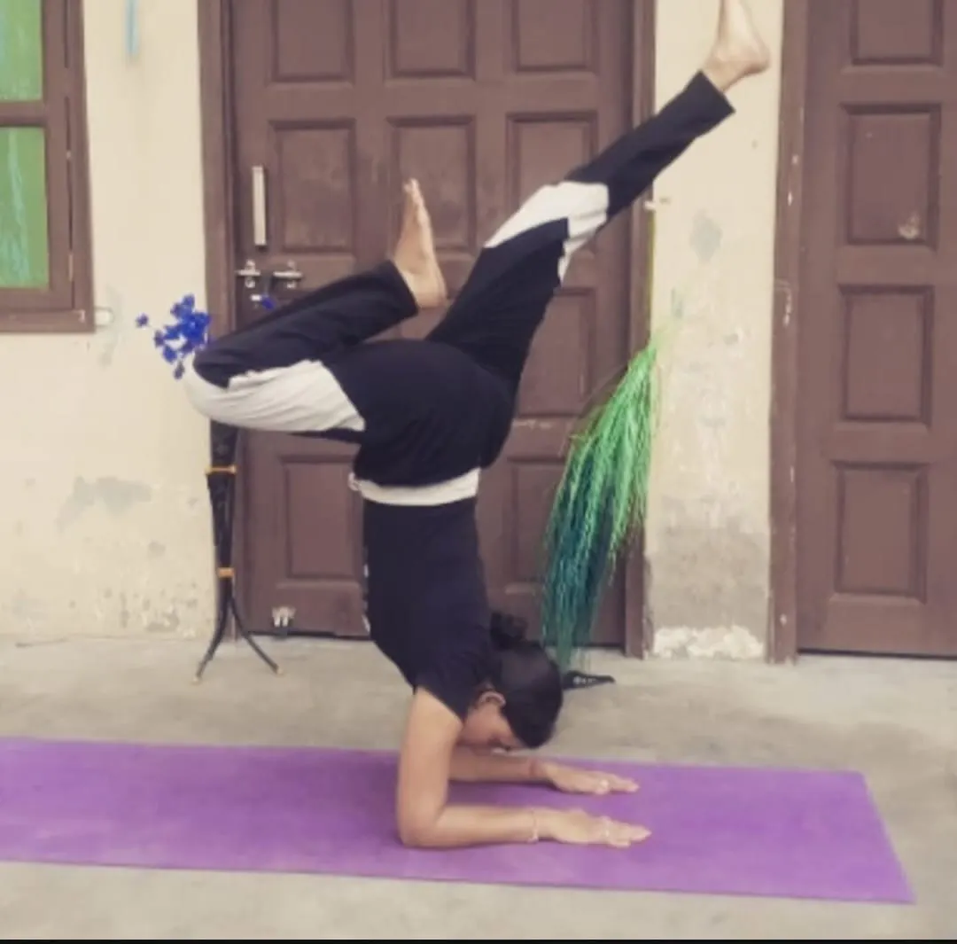 Lotus Yoga Studio And Home Class photo 1