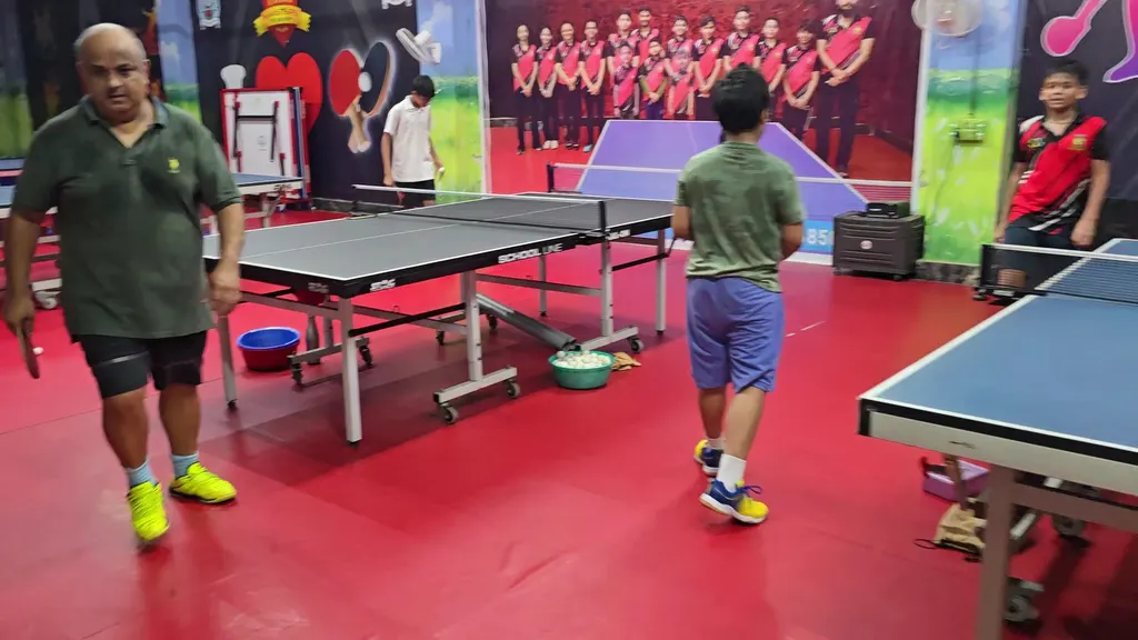 Iconic Table Tennis Academy — Table Tennis in Sector 82