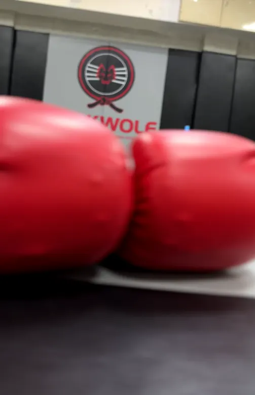 Blakwolfmma — Martial Arts in Sector 50