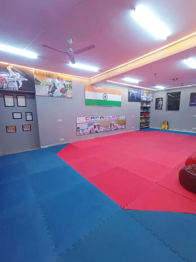 Capable Taekwondo Academy — Martial Arts in Jaunapur