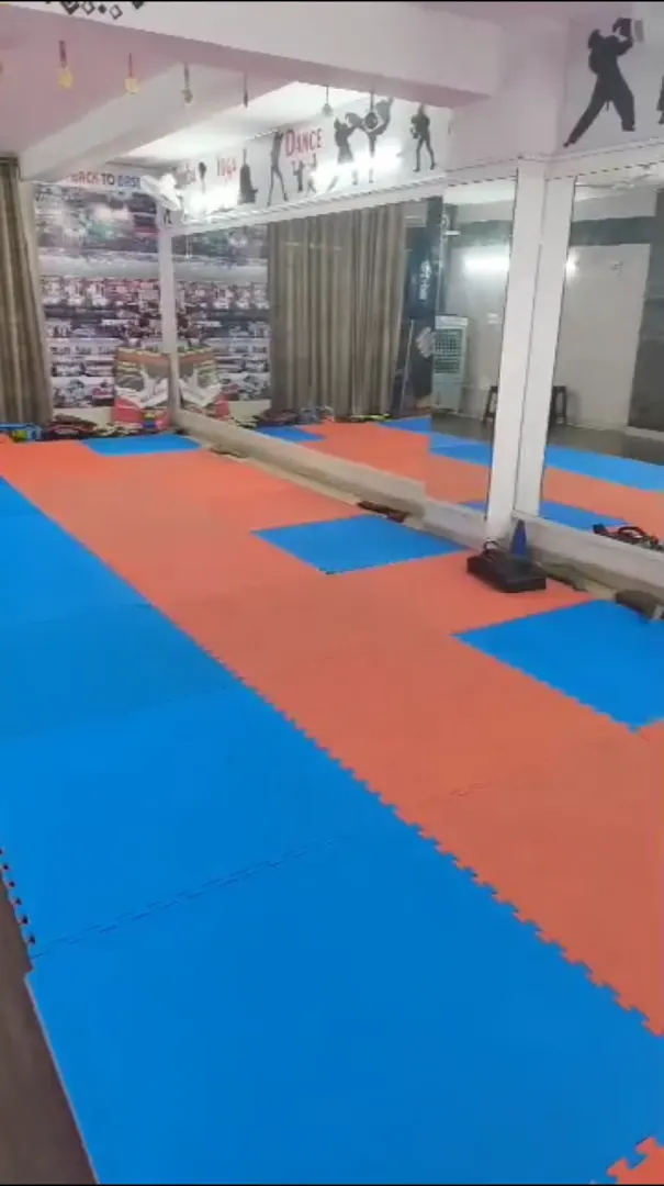 Back To Basics Taekwondo — Martial Arts in Surya Nagar