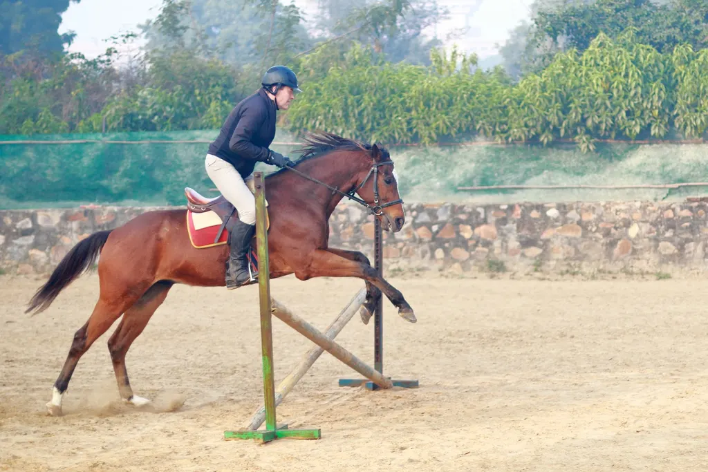 Adagio Riding Stables — Horse Riding in Balola