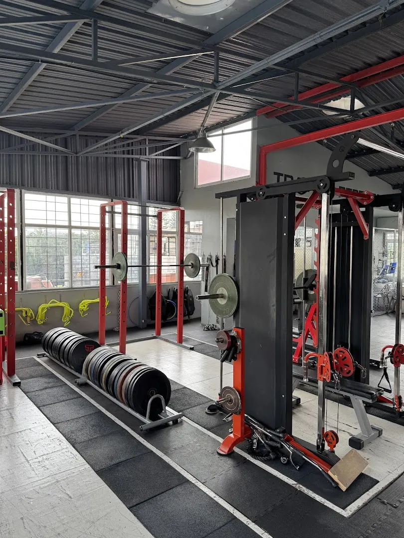 Train to perform — Standard Gym in Sadashivanagar