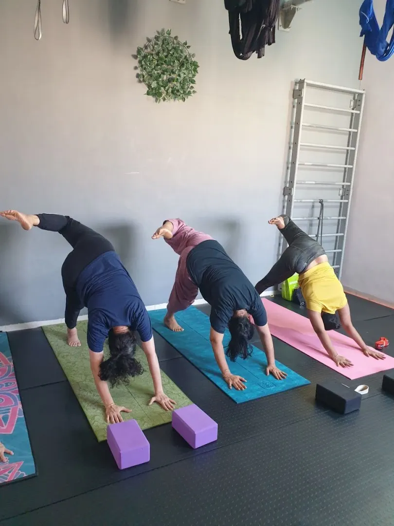 Flow 'N' Fly — Yoga in Thane West