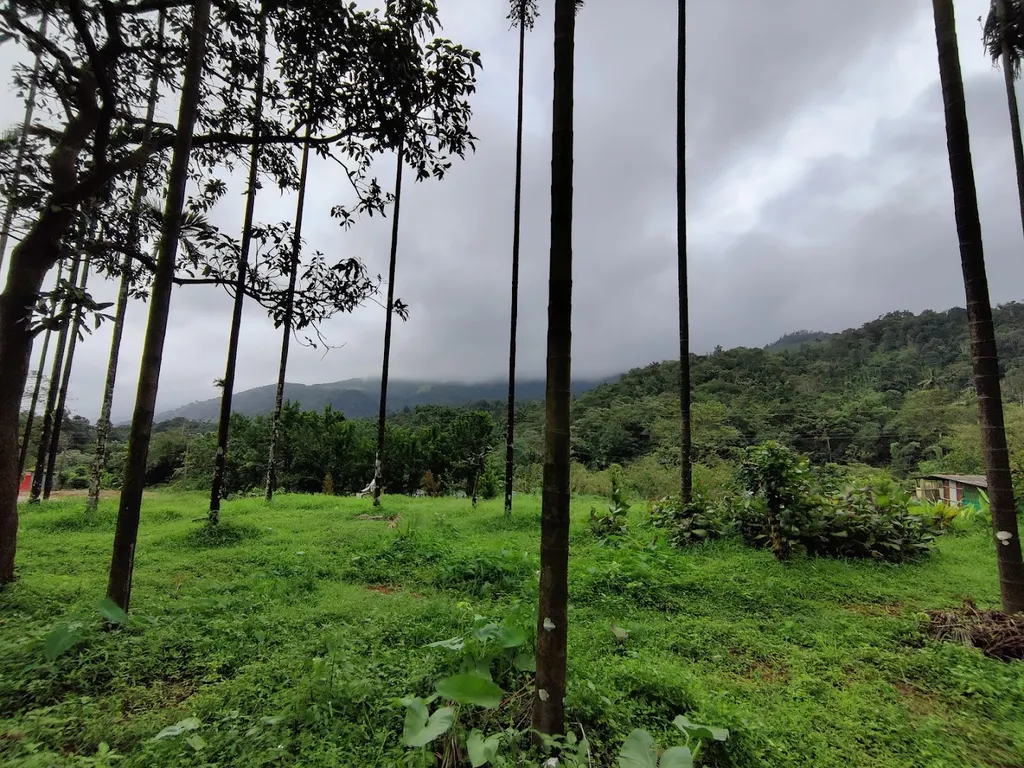 Ryju Home — Photography in Krishnarajapuram