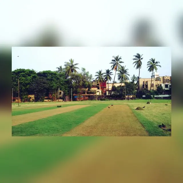 Achievers Cricket Academy — Cricket in Chedda Nagar