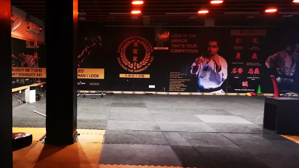 Sanshinkan Sector 56 — Martial Arts in Sector 56