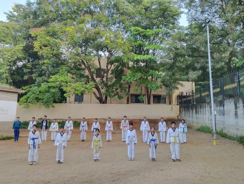 Yashas Power Taekwondo Center (R) — Martial Arts in Nandini Layout