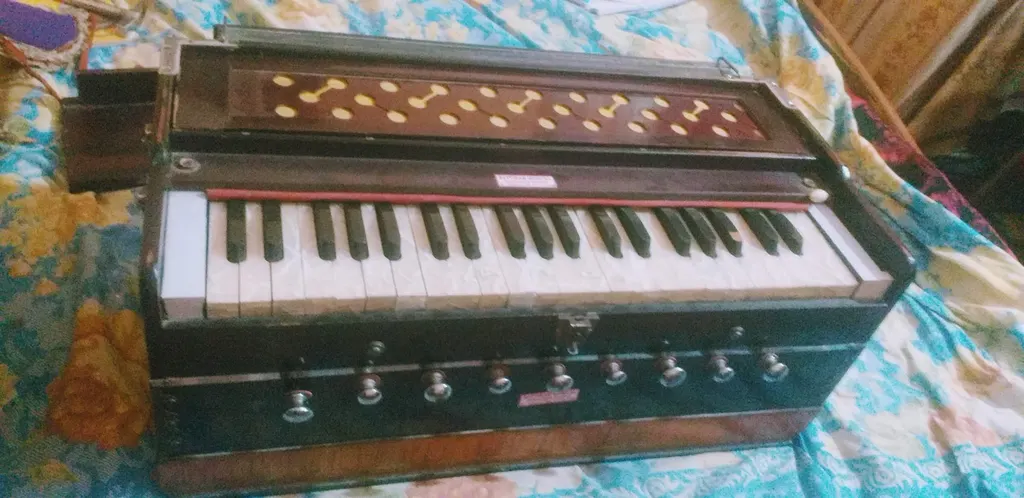 Manjusha Music Center — Music in Mahavir Enclave