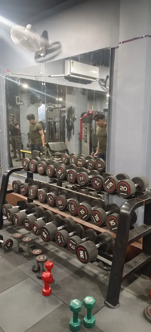 The muscle mafia gym