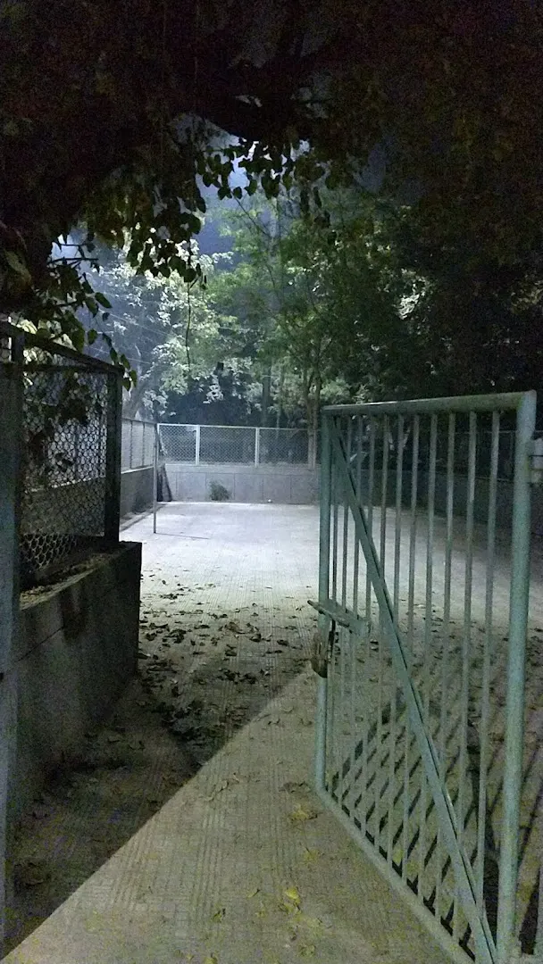 Badminton court — Badminton in Rama Krishna Puram, Delhi
