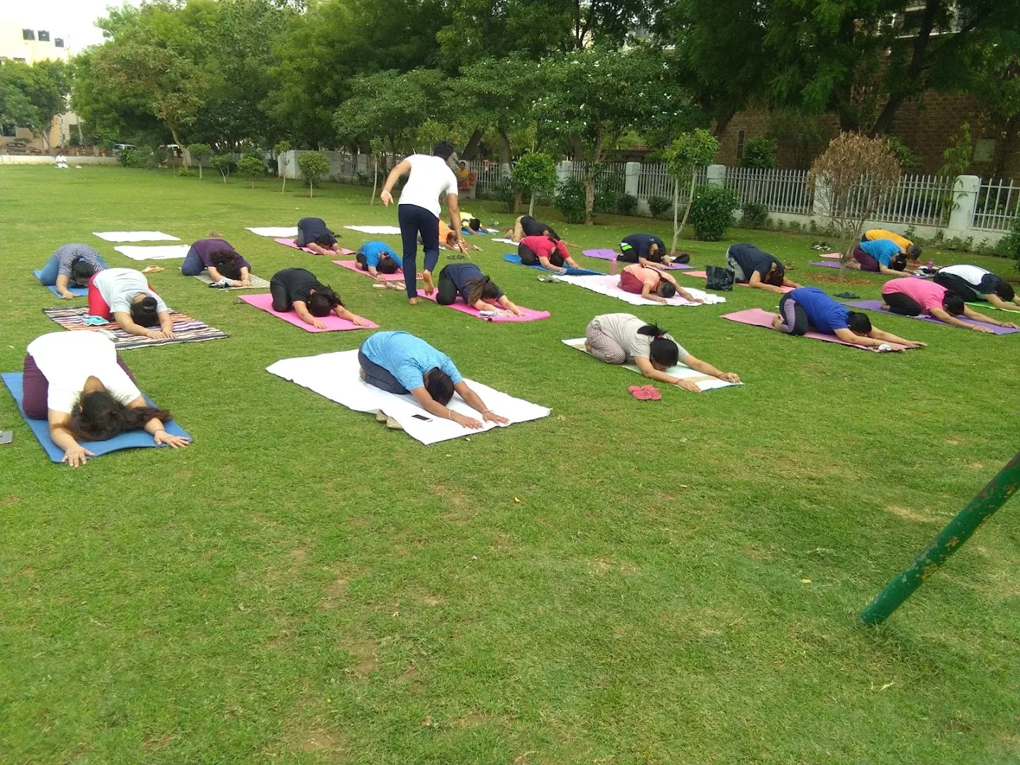 Yogawale photo 1