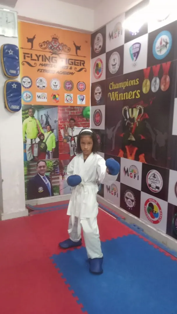 Flying Tiger Martial Arts & Fitness Academy — Martial Arts in Indirapuram