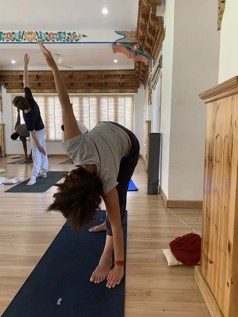 Shlloka - Classical Isha Hatha Yoga Teacher — Yoga in Hebbal Kempapura