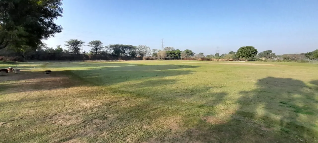 Xtra shine cricket academy photo 1