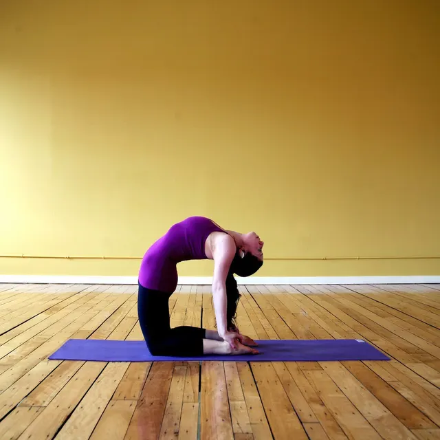 Ancient Vedic Yoga — Yoga in Vikhroli East