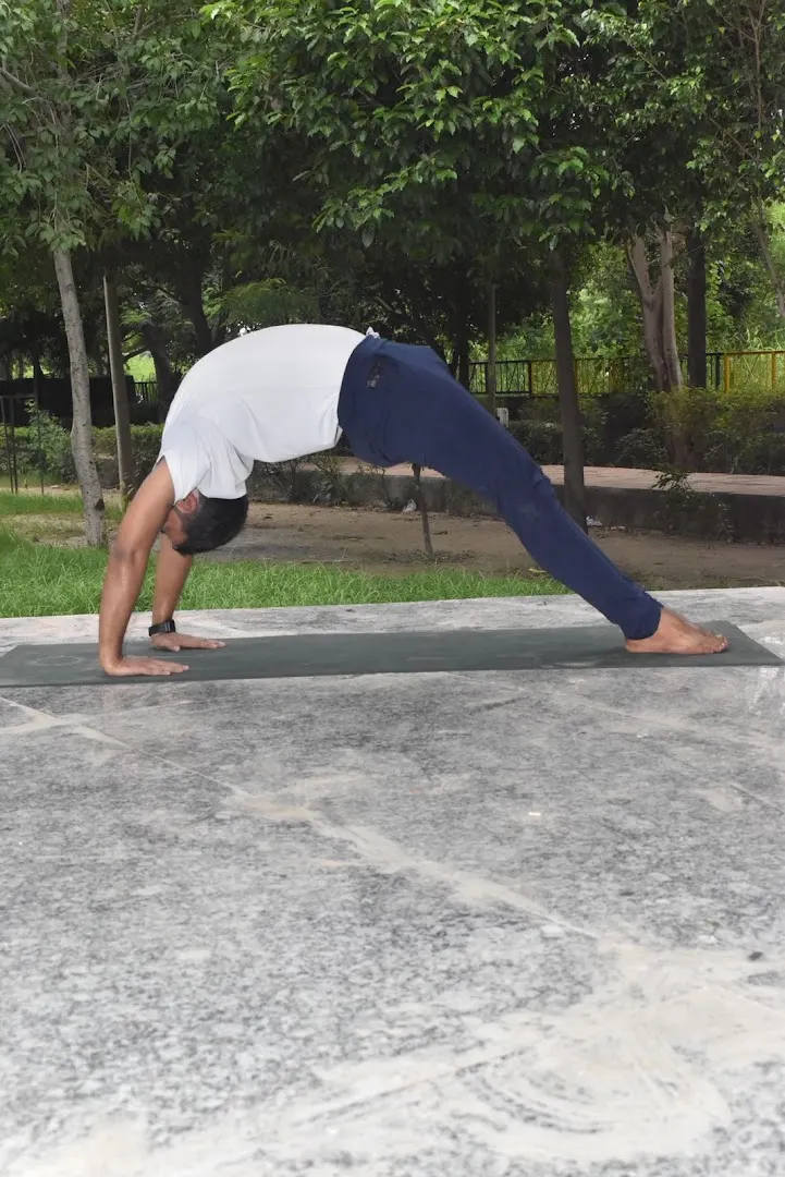 Prana Yoga Classes — Yoga in Sector 47