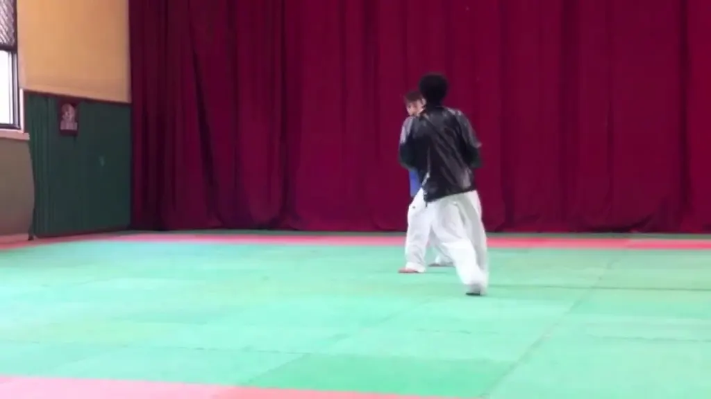 Taekwondo Classes — Martial Arts in Upper Anand Parvat