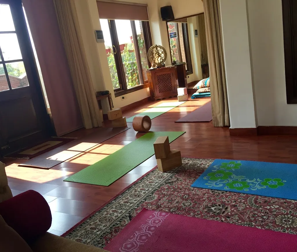 Shaloo Dogra Wellness — Yoga in Sector 26