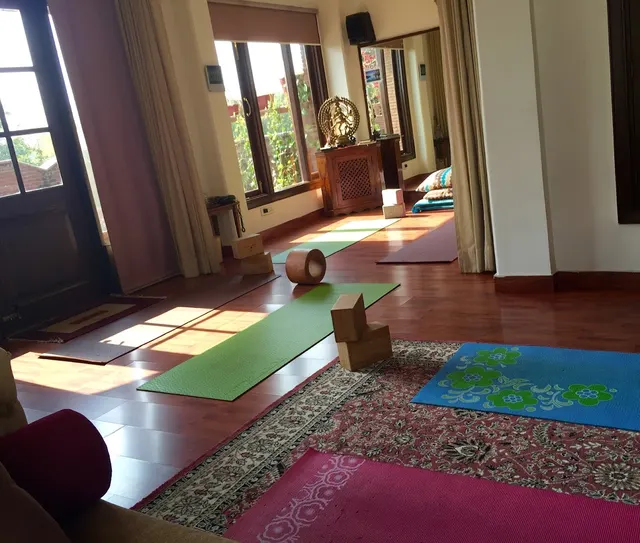 Shaloo Dogra Wellness — Yoga in Sector 26
