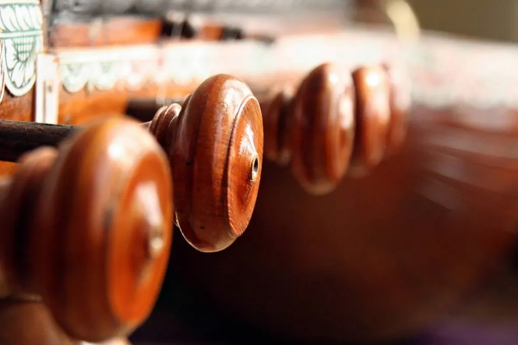 Veena Classes — Music in Banashankari