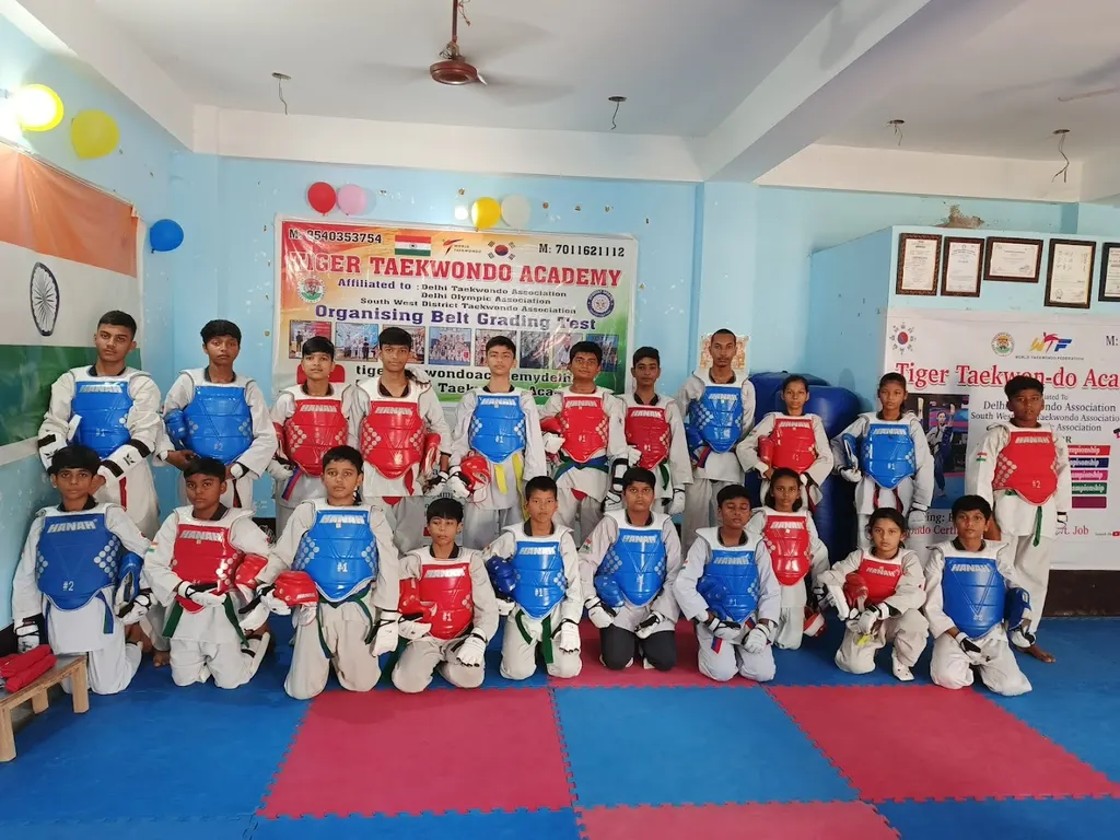 Tiger taekwondo academy Baprola — Martial Arts in Baprola