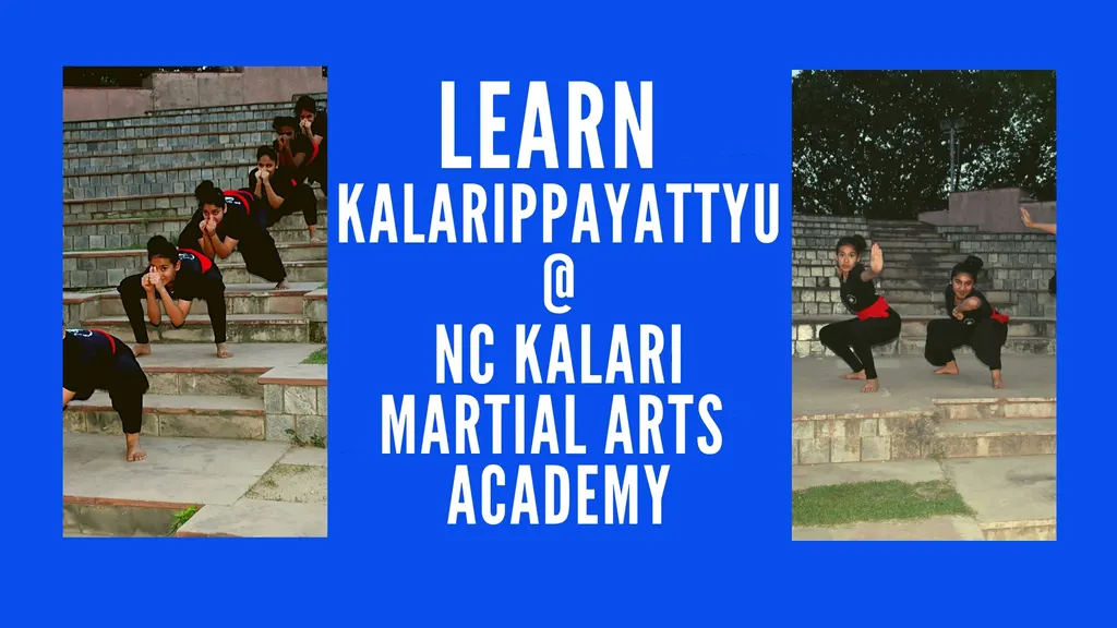 Nithya Chaithanya Kalari — Martial Arts in Mayur Vihar Phase III