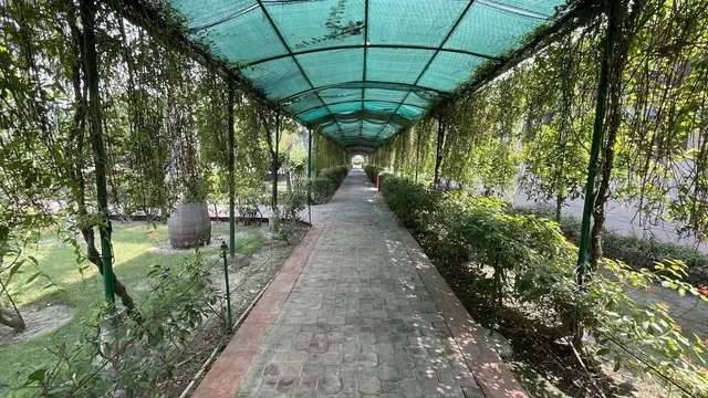 Balaji Naturecure Wellness Center — Yoga in Bakhtawar Pur Village