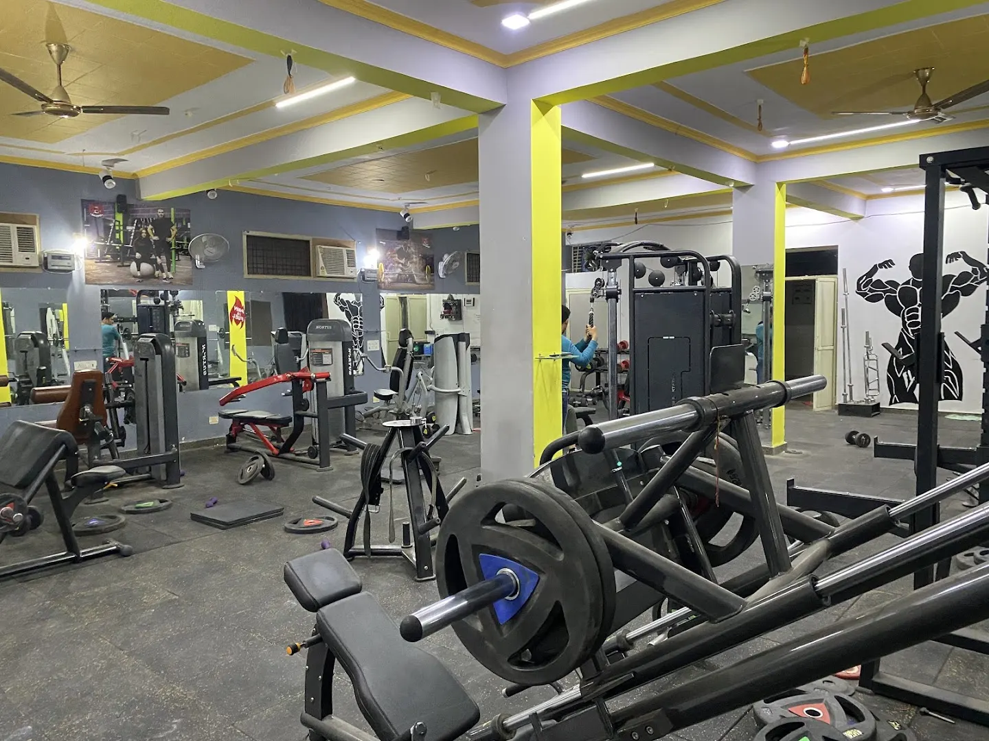 Big Biceps Gym — Standard Gym in Samashpur Khalsa, Delhi