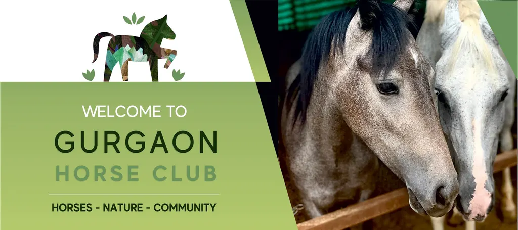Gurgaon Horse Club — Horse Riding in Balola